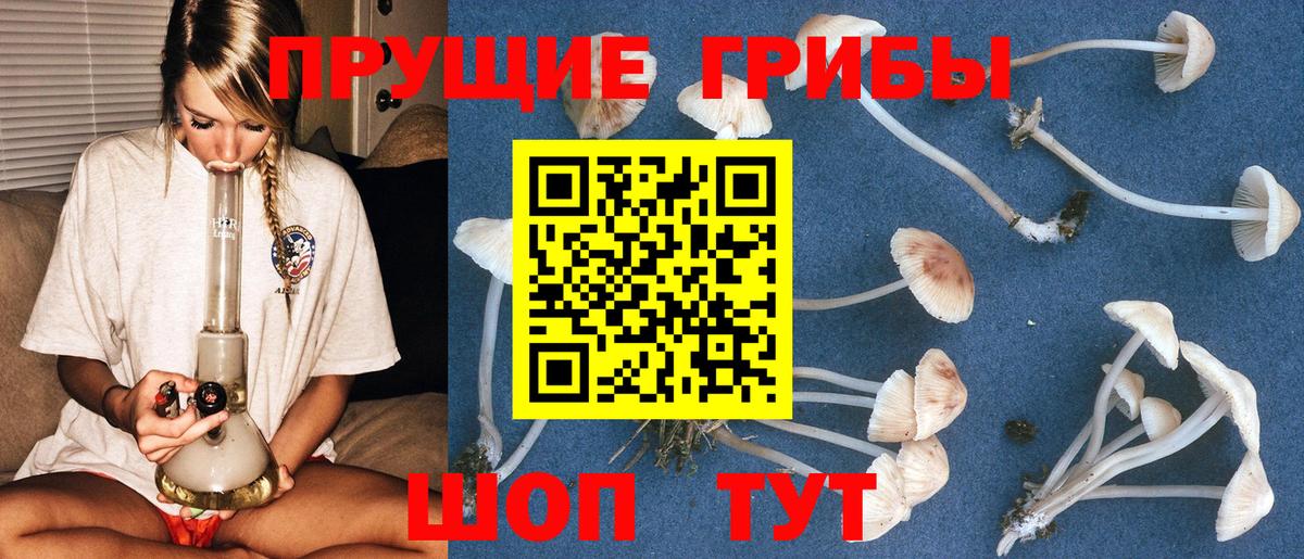 Карпинск  Псилоцибиновые грибы Psilocybine cubensis  Галлюциногенные грибы мухоморы  Вход с VPN 