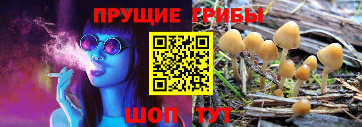 Псилоцибиновые грибы прущие грибы Карпинск